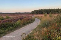 Ginkelse Heide Holland