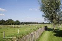Gruppenunterkunft in Naturgebiet Holland